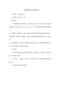 陽光保險實(shí)習(xí)周記