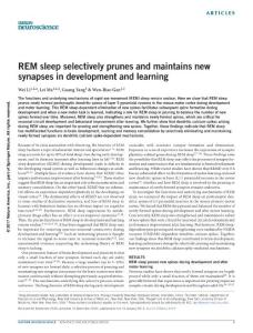 nn.4479-REM sleep selectively prunes and maintains new synapses in development and learning