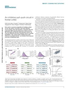 nn.4483-An inhibitory pull–push circuit in frontal cortex