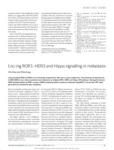 ncb3467-Lnc-ing ROR1–HER3 and Hippo signalling in metastasis