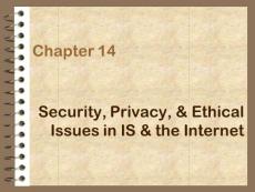Chapter 14Security Privacy Ethical Issues in IS the Internet(PPT-22)