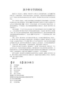新少林寺导演阐述