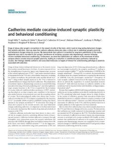nn.4503-Cadherins mediate cocaine-induced synaptic plasticity and behavioral conditioning