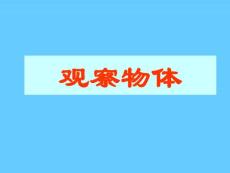 觀察物體_614939