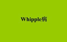 Whipple病  OK