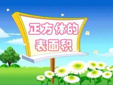 正方体的表面积  新人教版  课件