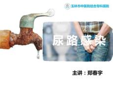 尿路感染護理方案課件