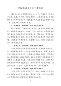 2016年政务公开工作总结