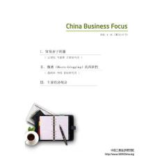 China Business Focus（2011年第13期）
