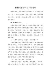 梧桐河农场工会工作总结