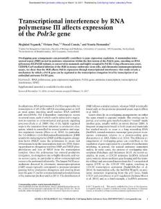 Genes Dev.-2017-Yeganeh-Transcriptional interference by RNA polymerase III affects expression of the Polr3e gene