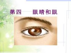 5.4 眼睛和眼鏡(用)