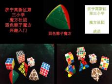 魔方社團入門四色粽子魔方