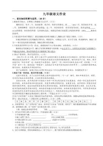 九年級語文作業(yè)