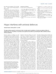 ncb3502-Hippo interferes with antiviral defences