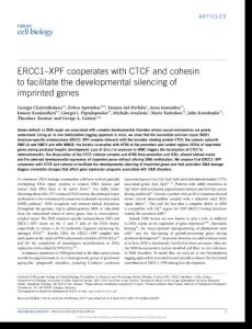 ncb3499-ERCC1–XPF cooperates with CTCF and cohesin to facilitate the developmental silencing of imprinted genes
