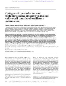 Genes Dev.-2017-Isomura-524-35-Optogenetic perturbation and bioluminescence imaging to analyze cell-to-cell transfer of oscillatory information