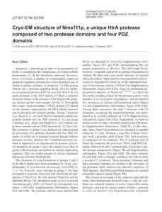 cr20175a-Cryo-EM structure of Nma111p, a unique HtrA protease composed of two protease domains and four PDZ domains