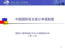 中國國際收支統計申報制度