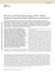 ng.3836-IFN-λ3, not IFN-λ4, likely mediates IFNL3–IFNL4 haplotype–dependent hepatic inflammation and fibrosis