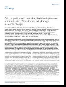 ncb3509-Cell competition with normal epithelial cells promotes apical extrusion of transformed cells through metabolic changes