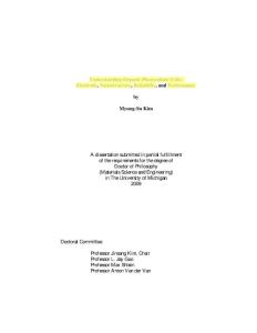 密歇根大學(xué)博士論文