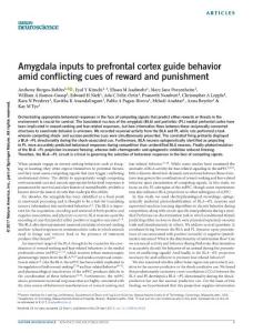 nn.4553-Amygdala inputs to prefrontal cortex guide behavior amid conflicting cues of reward and punishment
