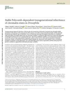 ng.3848-Stable Polycomb-dependent transgenerational inheritance of chromatin states in Drosophila