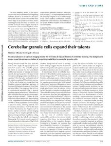 nn.4552-Cerebellar granule cells expand their talents