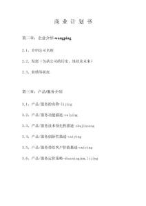 DMDS大綱-商業(yè)計劃書樣例