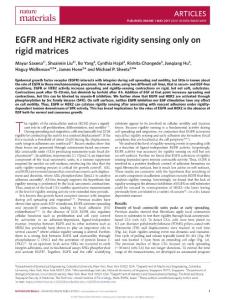 nmat4893-EGFR and HER2 activate rigidity sensing only on rigid matrices