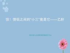 驚!情侶之間的“小三”竟是它——乙肝概要