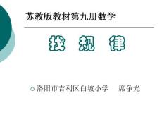 找规律-席争光