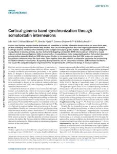 nn.4562-Cortical gamma band synchronization through somatostatin interneurons