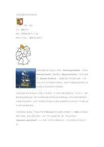 石勒蘇益格-荷爾斯泰因州