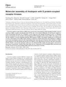 cr201772a-Molecular assembly of rhodopsin with G protein-coupled receptor kinases