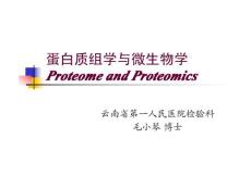 8.蛋白質組與微生物學（毛小琴）-mxq