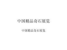 中國奇石精品展覽