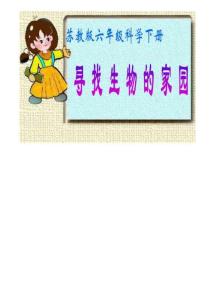 蘇教版小學(xué)科學(xué)六年級(jí)下冊(cè)《尋找生物的家園》課件