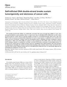 cr201741a-Self-inflicted DNA double-strand breaks sustain tumorigenicity and stemness of cancer cells