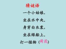 《荷花》PPT之一课件(人教版三年级语文下册课件)