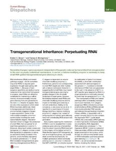 Current-Biology_2017_Transgenerational-Inheritance-Perpetuating-RNAi
