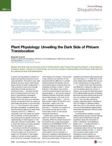 Current-Biology_2017_Plant-Physiology-Unveiling-the-Dark-Side-of-Phloem-Translocation