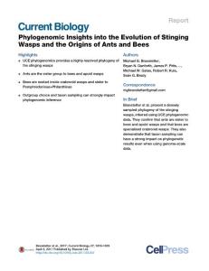 Current-Biology_2017_Phylogenomic-Insights-into-the-Evolution-of-Stinging-Wasps-and-the-Origins-of-Ants-and-Bees