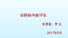 动静脉內瘘评估