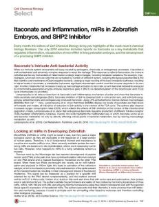 Cell-Chemical-Biology_2016_Itaconate-and-Inflammation-miRs-in-Zebrafish-Embryos-and-SHP2-Inhibitor