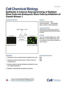 Cell-Chemical-Biology_2016_Epiblastin-A-Induces-Reprogramming-of-Epiblast-Stem-Cells-Into-Embryonic-Stem-Cells-by-Inhibition-of-Casein-Kinase-1