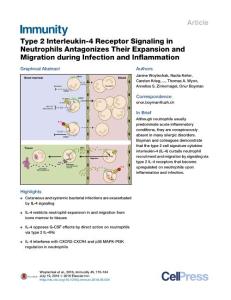 Immunity_2016_Type-2-Interleukin-4-Receptor-Signaling-in-Neutrophils-Antagonizes-Their-Expansion-and-Migration-during-Infection-and-Inflammation