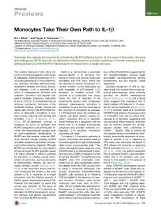 Immunity_2016_Monocytes-Take-Their-Own-Path-to-IL-1-