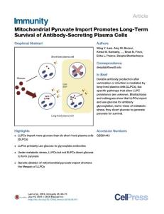Immunity_2016_Mitochondrial-Pyruvate-Import-Promotes-Long-Term-Survival-of-Antibody-Secreting-Plasma-Cells